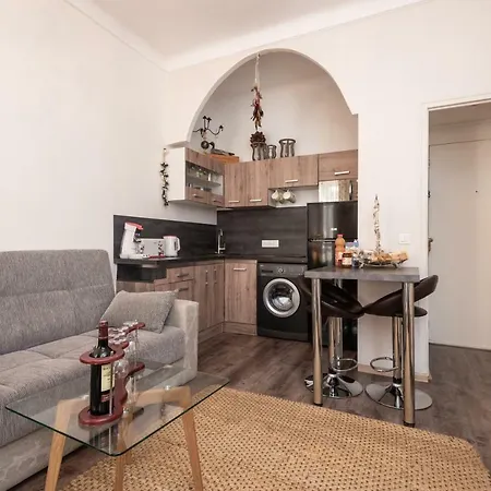 Apartamento Luxe! Charmant 2 Piece, Centre. Niza